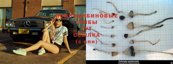 соль курить ск Алексин