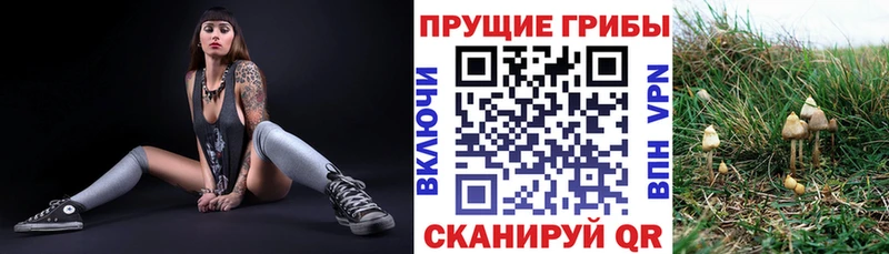 Галлюциногенные грибы мицелий  цена   Калининск 